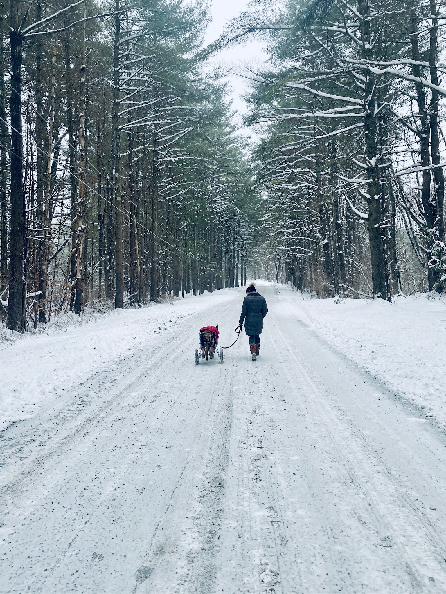 Winter Walk down Furnace Road